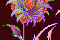 فوتوشاپ - کاهش اندازه